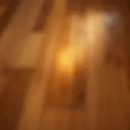 Elegant Oak Flooring