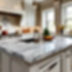 Elegant Regent Stone Quartz Countertop in Kitchen