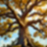 Strategic Oak Tree in Hearthstone